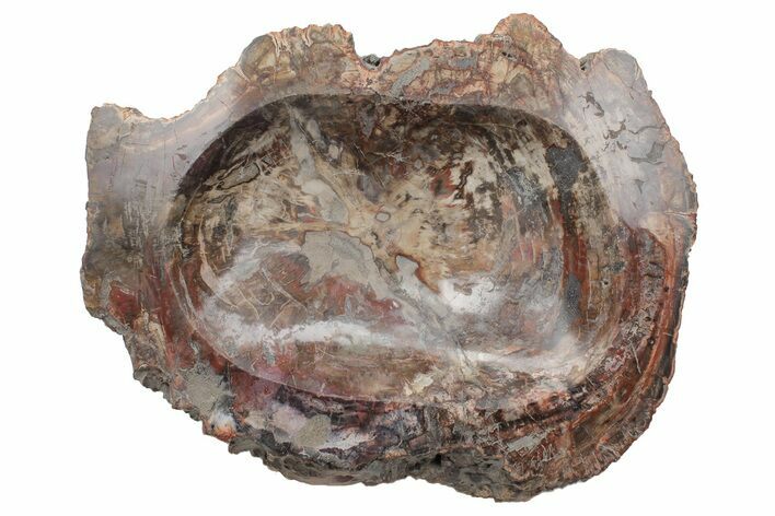 Colorful Polished Petrified Wood Dish - Madagascar #207409